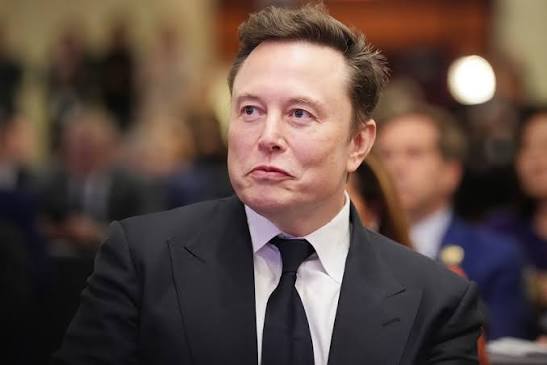 Elon Musk HITCLUB